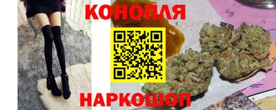 jwh Кингисепп