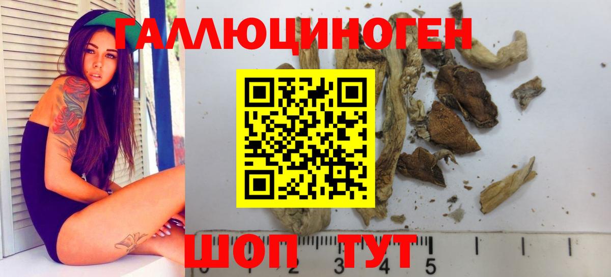 Ярославль  Галлюциногенные грибы GOLDEN TEACHER  Вход с VPN 
